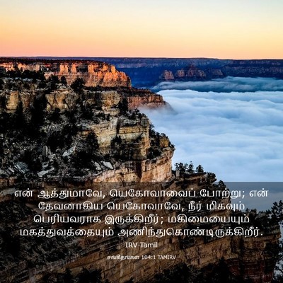Picture 03 - சங்கீதங்கள் 104:1 TAMIRV - என் ஆத்துமாவே, - Bible Verse Picture
