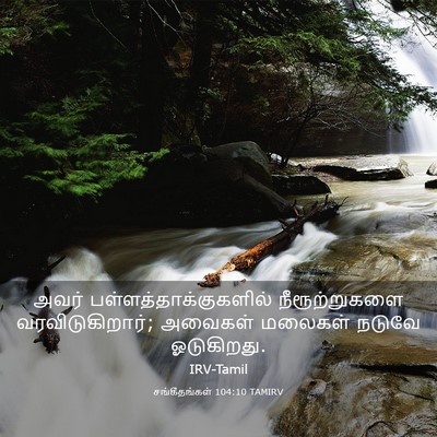Picture 03 - சங்கீதங்கள் 104:10 TAMIRV - அவர் - Bible Verse Picture