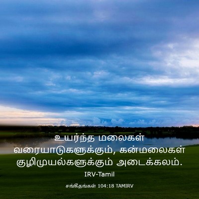 Picture 03 - சங்கீதங்கள் 104:18 TAMIRV - உயர்ந்த மலைகள் - Bible Verse Picture