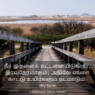 Picture 03 - சங்கீதங்கள் 104:20 TAMIRV - நீர் இருளைக் - Bible Verse Picture