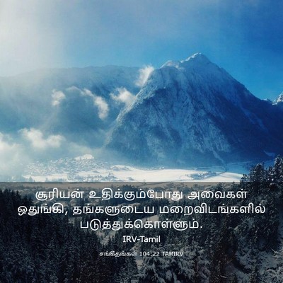 Picture 03 - சங்கீதங்கள் 104:22 TAMIRV - சூரியன் - Bible Verse Picture