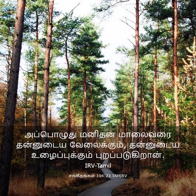Picture 03 - சங்கீதங்கள் 104:23 TAMIRV - அப்பொழுது மனிதன் - Bible Verse Picture