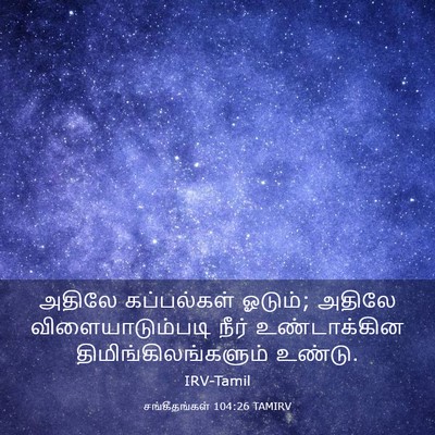 Picture 03 - சங்கீதங்கள் 104:26 TAMIRV - அதிலே கப்பல்கள் - Bible Verse Picture