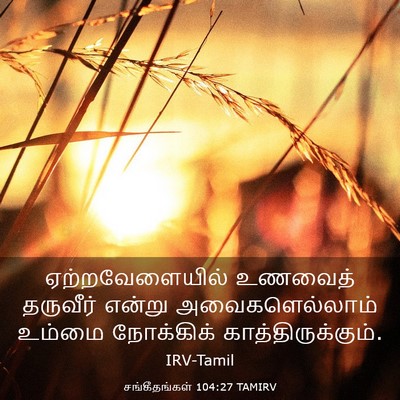 Picture 03 - சங்கீதங்கள் 104:27 TAMIRV - ஏற்றவேளையில் - Bible Verse Picture