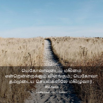 Picture 03 - சங்கீதங்கள் 104:31 TAMIRV - யெகோவாவுடைய மகிமை - Bible Verse Picture