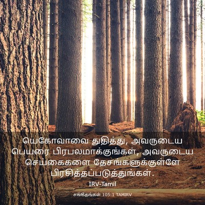 Picture 03 - சங்கீதங்கள் 105:1 TAMIRV - யெகோவாவை - Bible Verse Picture