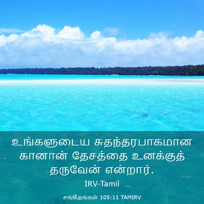 Picture 03 - சங்கீதங்கள் 105:11 TAMIRV - உங்களுடைய - Bible Verse Picture
