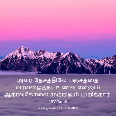 Picture 03 - சங்கீதங்கள் 105:16 TAMIRV - அவர் தேசத்திலே - Bible Verse Picture