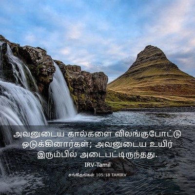 Picture 03 - சங்கீதங்கள் 105:18 TAMIRV - அவனுடைய கால்களை - Bible Verse Picture