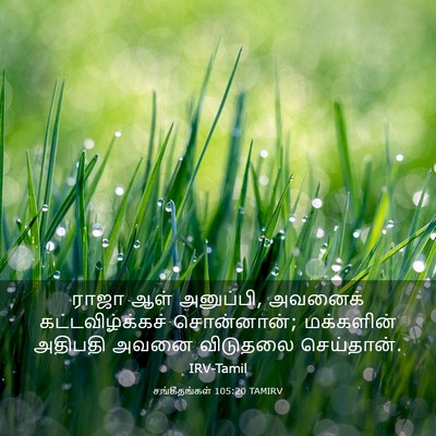 Picture 03 - சங்கீதங்கள் 105:20 TAMIRV - ராஜா ஆள் அனுப்பி, - Bible Verse Picture