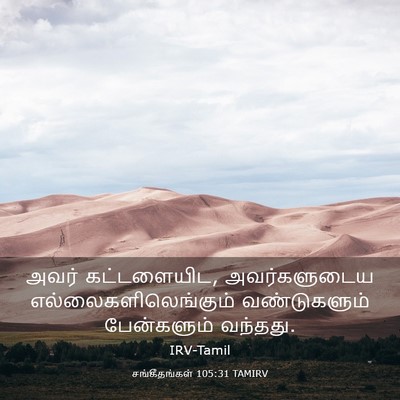 Picture 03 - சங்கீதங்கள் 105:31 TAMIRV - அவர் கட்டளையிட, - Bible Verse Picture