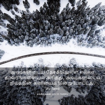 Picture 03 - சங்கீதங்கள் 105:35 TAMIRV - அவர்களுடைய - Bible Verse Picture