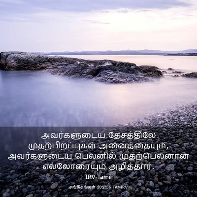 Picture 03 - சங்கீதங்கள் 105:36 TAMIRV - அவர்களுடைய - Bible Verse Picture