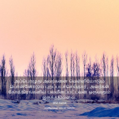 Picture 03 - சங்கீதங்கள் 105:37 TAMIRV - அப்பொழுது அவர்களை - Bible Verse Picture