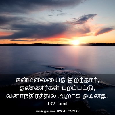 Picture 03 - சங்கீதங்கள் 105:41 TAMIRV - கன்மலையைத் - Bible Verse Picture