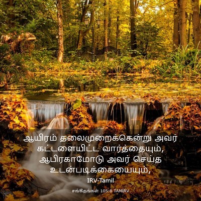 Picture 03 - சங்கீதங்கள் 105:8 TAMIRV - ஆயிரம் - Bible Verse Picture