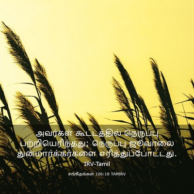 Picture 03 - சங்கீதங்கள் 106:18 TAMIRV - அவர்கள் - Bible Verse Picture