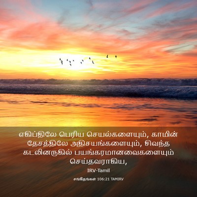 Picture 03 - சங்கீதங்கள் 106:21 TAMIRV - எகிப்திலே பெரிய - Bible Verse Picture
