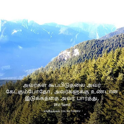 Picture 03 - சங்கீதங்கள் 106:44 TAMIRV - அவர்கள் - Bible Verse Picture