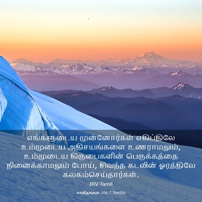 Picture 03 - சங்கீதங்கள் 106:7 TAMIRV - எங்களுடைய - Bible Verse Picture
