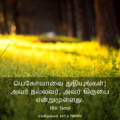 Picture 03 - சங்கீதங்கள் 107:1 TAMIRV - யெகோவாவை - Bible Verse Picture