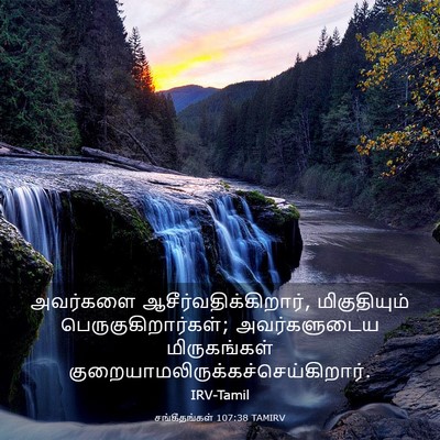 Picture 03 - சங்கீதங்கள் 107:38 TAMIRV - அவர்களை - Bible Verse Picture