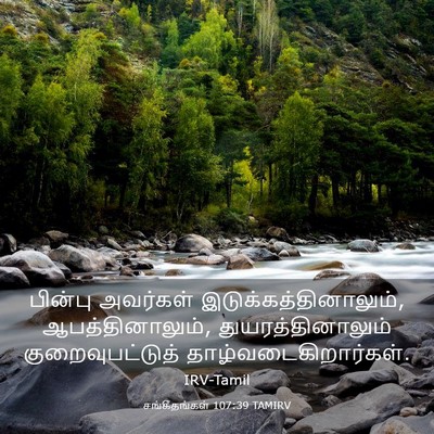 Picture 03 - சங்கீதங்கள் 107:39 TAMIRV - பின்பு அவர்கள் - Bible Verse Picture