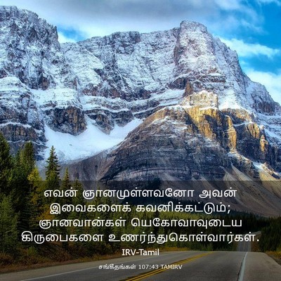Picture 03 - சங்கீதங்கள் 107:43 TAMIRV - எவன் ஞானமுள்ளவனோ - Bible Verse Picture