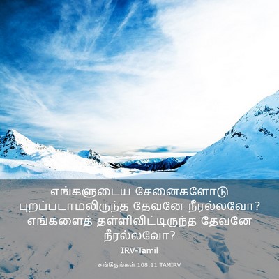 Picture 03 - சங்கீதங்கள் 108:11 TAMIRV - எங்களுடைய - Bible Verse Picture