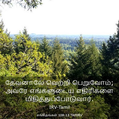 Picture 03 - சங்கீதங்கள் 108:13 TAMIRV - தேவனாலே வெற்றி - Bible Verse Picture