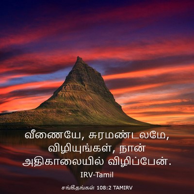 Picture 03 - சங்கீதங்கள் 108:2 TAMIRV - வீணையே, - Bible Verse Picture
