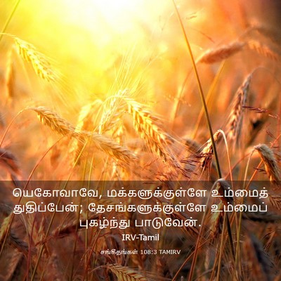 Picture 03 - சங்கீதங்கள் 108:3 TAMIRV - யெகோவாவே, - Bible Verse Picture