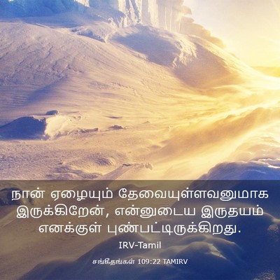 Picture 03 - சங்கீதங்கள் 109:22 TAMIRV - நான் ஏழையும் - Bible Verse Picture