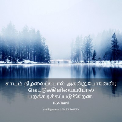 Picture 03 - சங்கீதங்கள் 109:23 TAMIRV - சாயும் - Bible Verse Picture