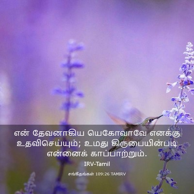 Picture 03 - சங்கீதங்கள் 109:26 TAMIRV - என் தேவனாகிய - Bible Verse Picture