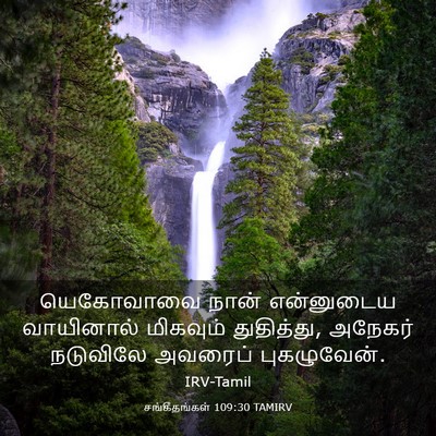 Picture 03 - சங்கீதங்கள் 109:30 TAMIRV - யெகோவாவை நான் - Bible Verse Picture