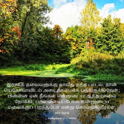Picture 03 - சங்கீதங்கள் 11:1 TAMIRV - இராகத் தலைவனுக்கு - Bible Verse Picture