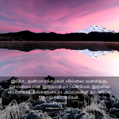Picture 03 - சங்கீதங்கள் 11:2 TAMIRV - இதோ, - Bible Verse Picture