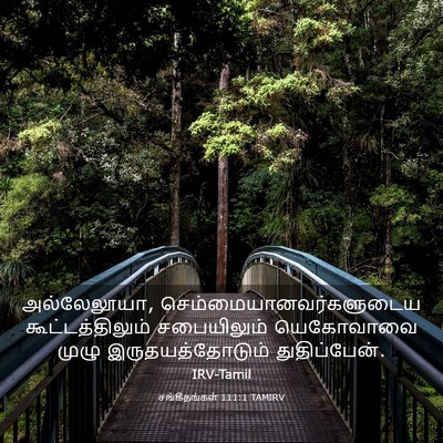 Picture 03 - சங்கீதங்கள் 111:1 TAMIRV - அல்லேலூயா, - Bible Verse Picture