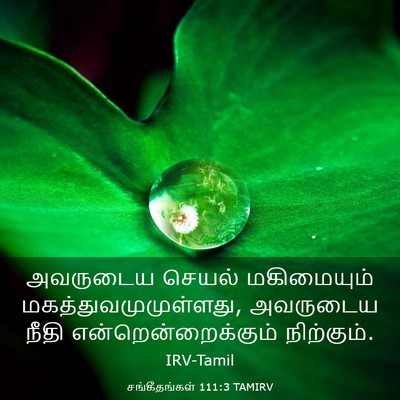 Picture 03 - சங்கீதங்கள் 111:3 TAMIRV - அவருடைய செயல் - Bible Verse Picture