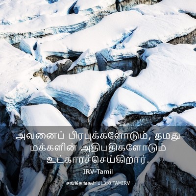 Picture 03 - சங்கீதங்கள் 113:8 TAMIRV - அவனைப் - Bible Verse Picture