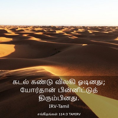 Picture 03 - சங்கீதங்கள் 114:3 TAMIRV - கடல் கண்டு விலகி - Bible Verse Picture