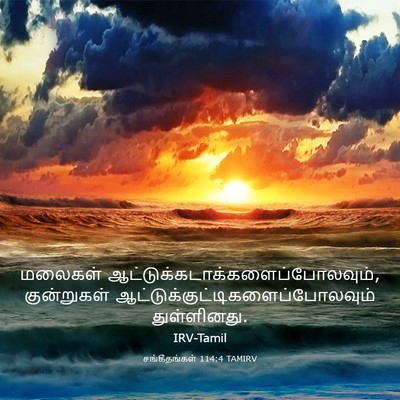 Picture 03 - சங்கீதங்கள் 114:4 TAMIRV - மலைகள் - Bible Verse Picture
