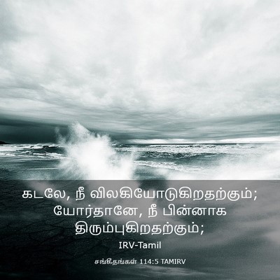 Picture 03 - சங்கீதங்கள் 114:5 TAMIRV - கடலே, நீ - Bible Verse Picture