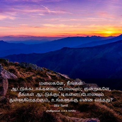 Picture 03 - சங்கீதங்கள் 114:6 TAMIRV - மலைகளே, நீங்கள் - Bible Verse Picture