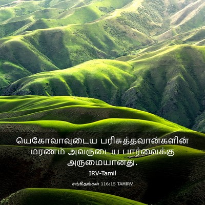 Picture 03 - சங்கீதங்கள் 116:15 TAMIRV - யெகோவாவுடைய - Bible Verse Picture