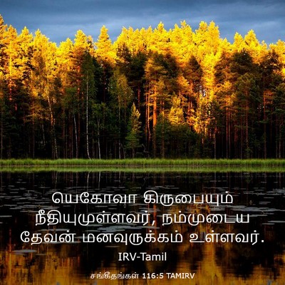 Picture 03 - சங்கீதங்கள் 116:5 TAMIRV - யெகோவா கிருபையும் - Bible Verse Picture