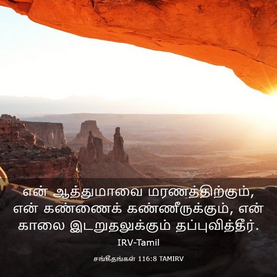 Picture 03 - சங்கீதங்கள் 116:8 TAMIRV - என் ஆத்துமாவை - Bible Verse Picture