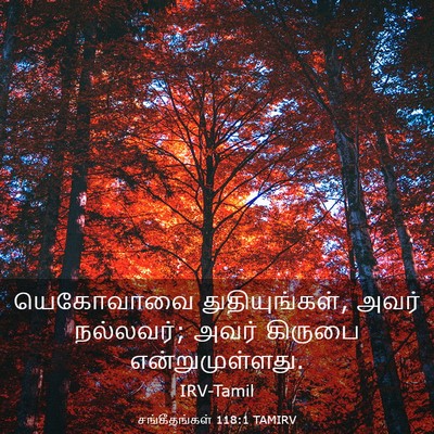 Picture 03 - சங்கீதங்கள் 118:1 TAMIRV - யெகோவாவை - Bible Verse Picture