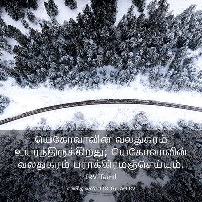 Picture 03 - சங்கீதங்கள் 118:16 TAMIRV - யெகோவாவின் - Bible Verse Picture